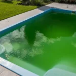 Green water in a home pool in the backyard of a house